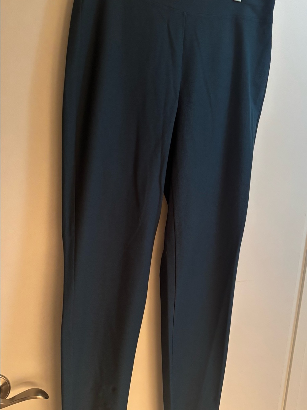 Eileen Fisher Women’s Green Stretch Dress Pants